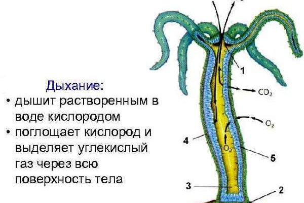 Кракен маркетплейс что