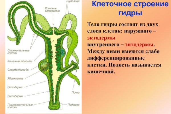 Как заказать на кракене