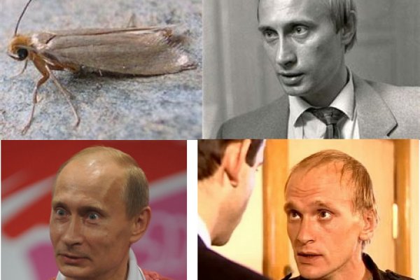 Кракен картель